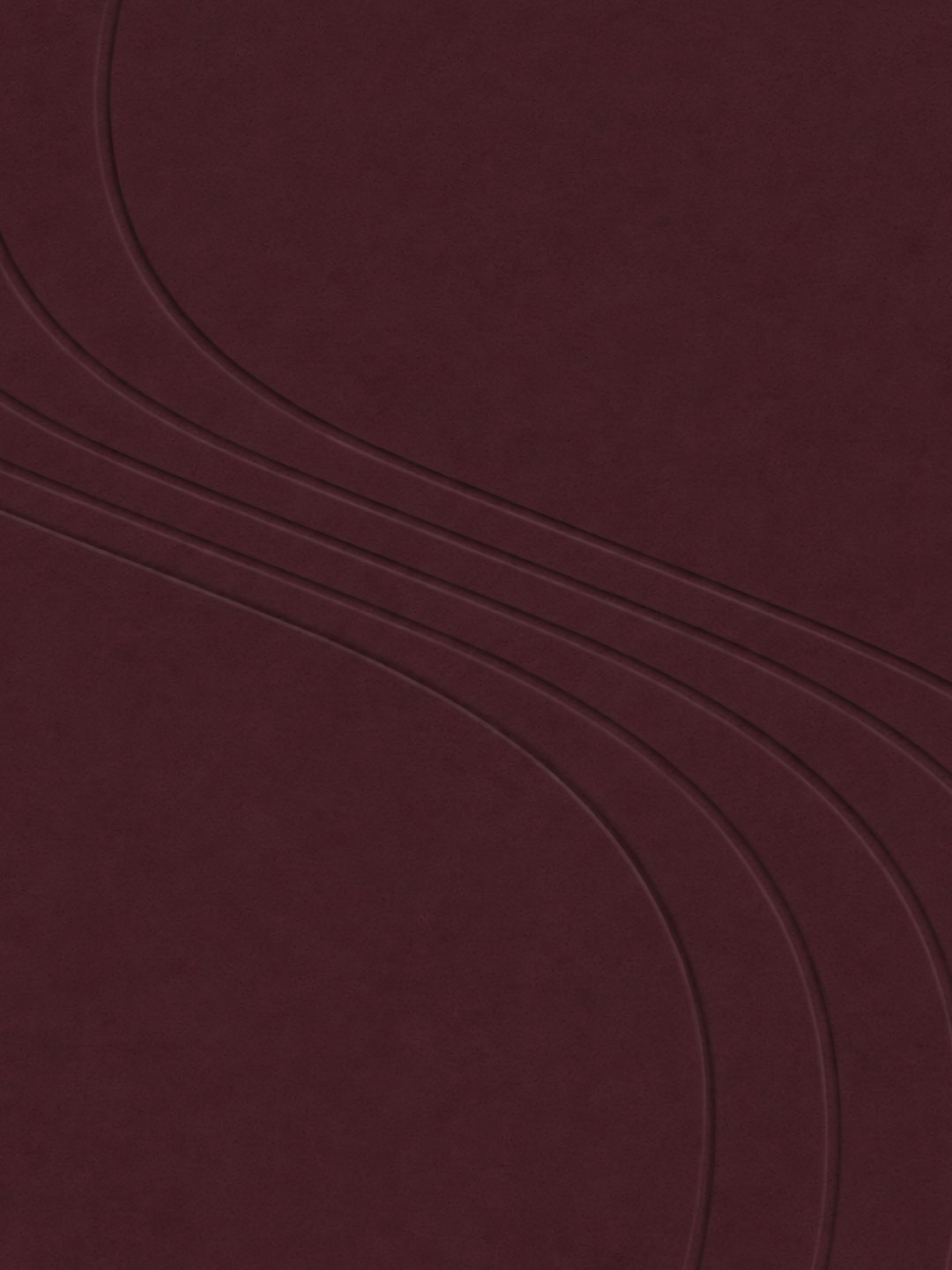 Shavest_01b